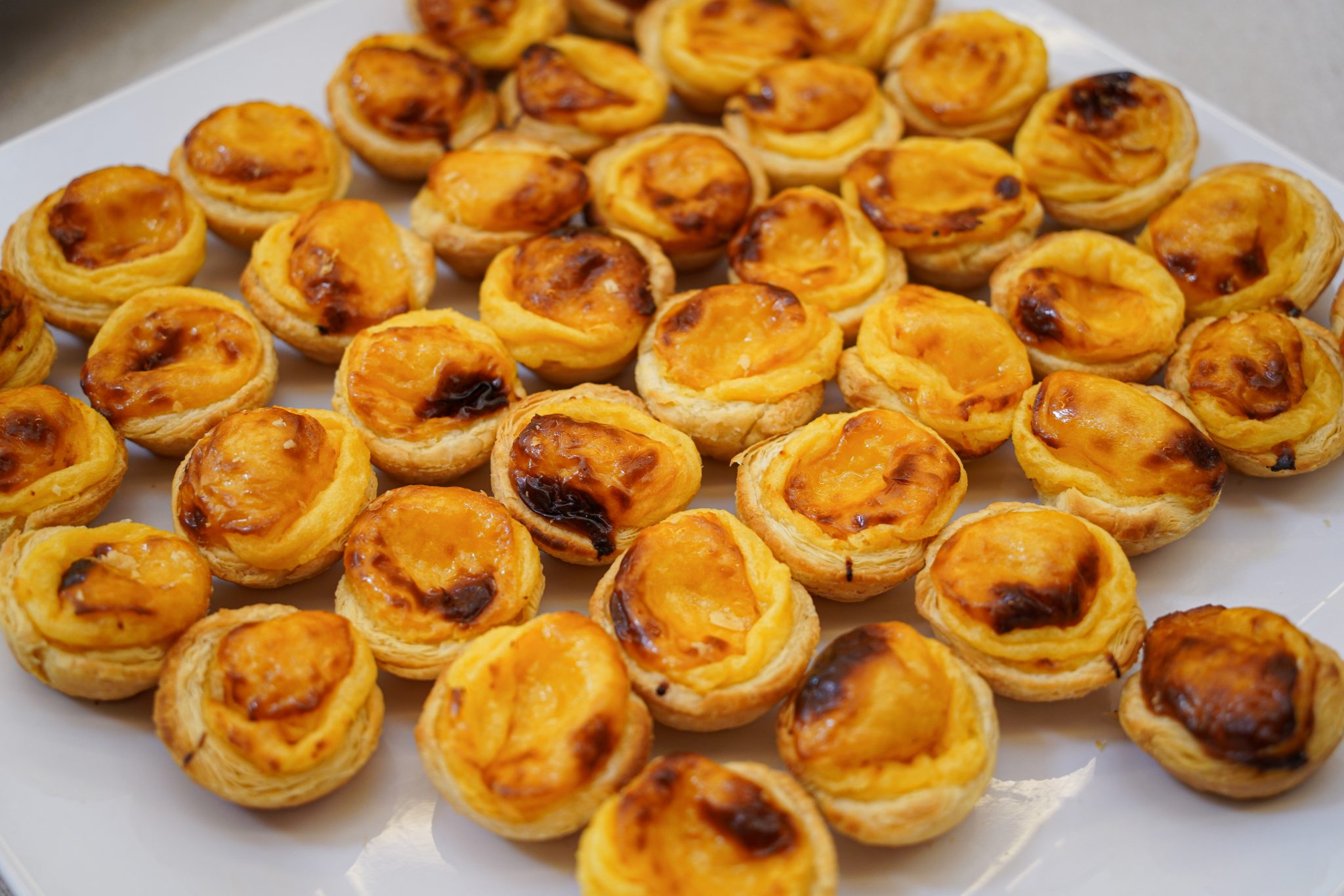 Pastéis de nata — Portuguese egg custard tarts with caramelized, slightly scorched tops arranged in rows on a white plate